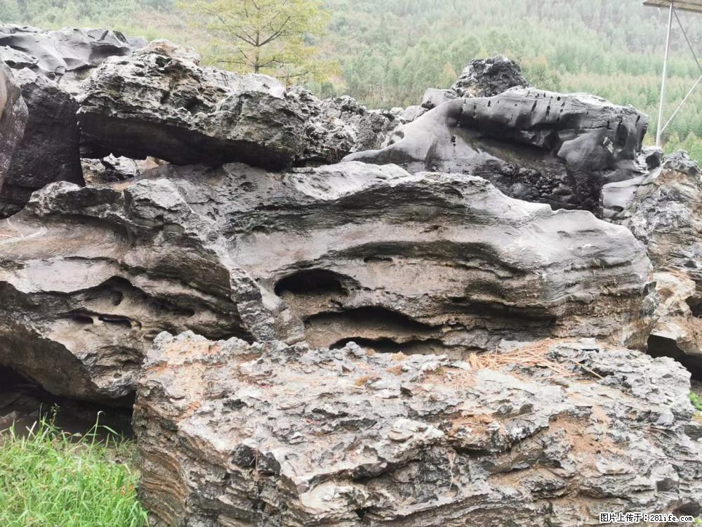 风景石、假山石大量有货，有需要的欢迎联系 - 新手上路 - 揭阳生活社区 - 揭阳28生活网 jy.28life.net