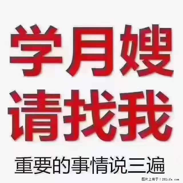 为什么要学习月嫂，育婴师？ - 新手上路 - 揭阳生活社区 - 揭阳28生活网 jy.28life.net