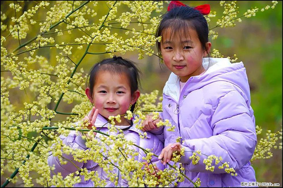 【春天，广西桂林灌阳县向您发出邀请！】米珠山前有片山苍子花在飘香 - 游山玩水 - 揭阳生活社区 - 揭阳28生活网 jy.28life.net