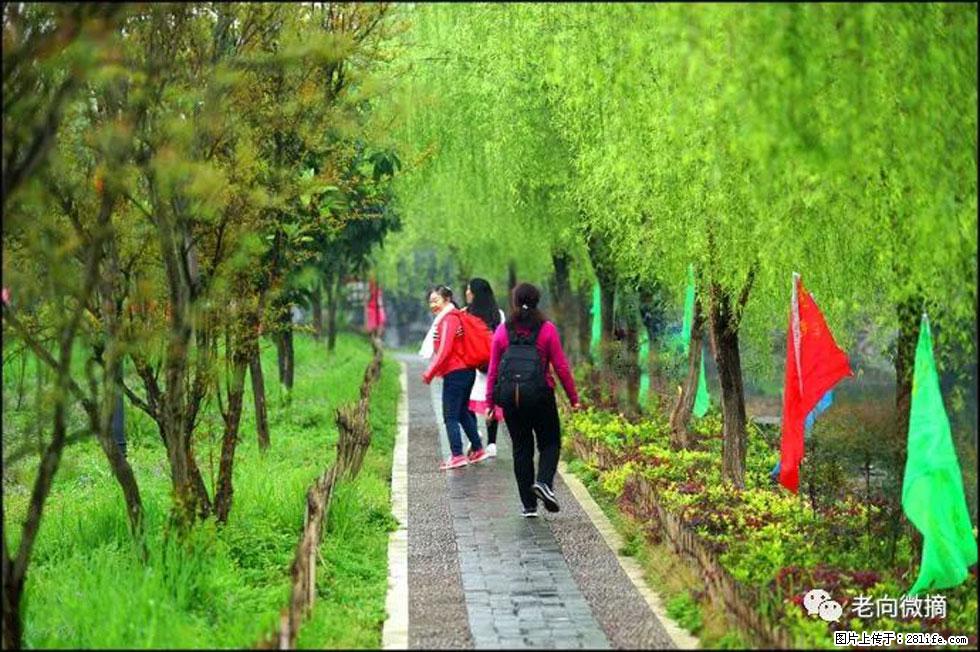 【春天，广西桂林灌阳县向您发出邀请！】江口老街又逢春 - 游山玩水 - 揭阳生活社区 - 揭阳28生活网 jy.28life.net