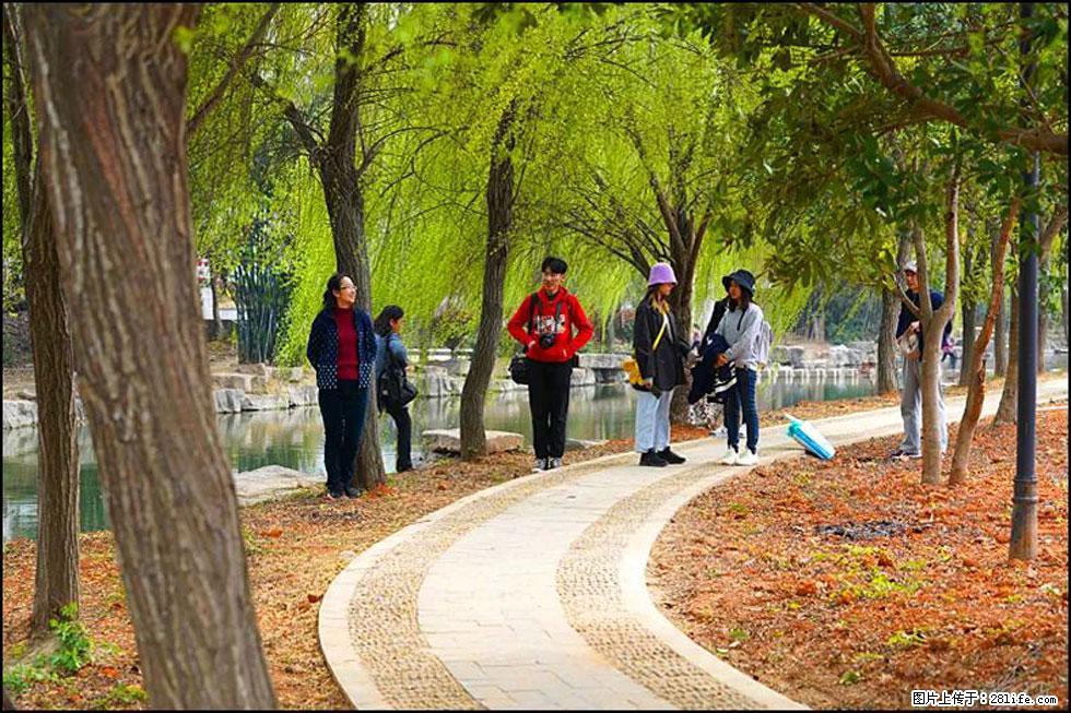 【春天，广西桂林灌阳县向您发出邀请！】江口老街又逢春 - 游山玩水 - 揭阳生活社区 - 揭阳28生活网 jy.28life.net