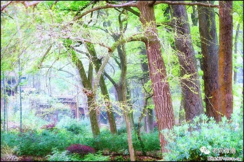 【春天，广西桂林灌阳县向您发出邀请！】在小龙村与春天约会 - 游山玩水 - 揭阳生活社区 - 揭阳28生活网 jy.28life.net