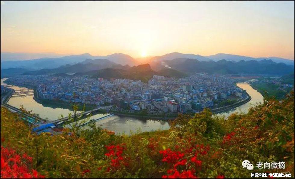 【春天，广西桂林灌阳县向您发出邀请！】登麒麟山，相约映山红 - 游山玩水 - 揭阳生活社区 - 揭阳28生活网 jy.28life.net
