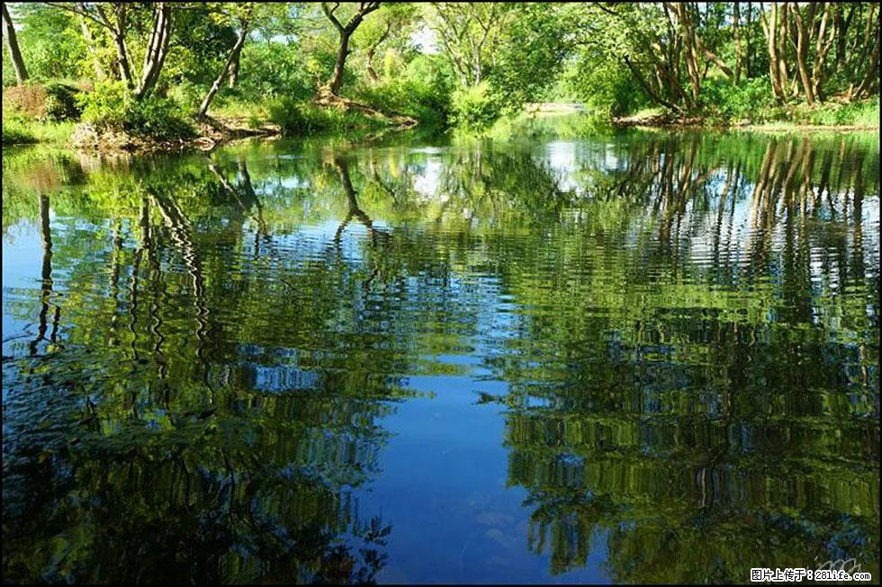 【春天，广西桂林灌阳县向您发出邀请！】熊家寨湿地公园 - 游山玩水 - 揭阳生活社区 - 揭阳28生活网 jy.28life.net