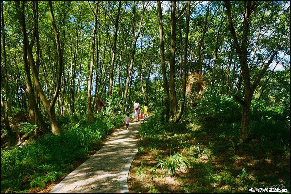 【春天，广西桂林灌阳县向您发出邀请！】熊家寨湿地公园 - 游山玩水 - 揭阳生活社区 - 揭阳28生活网 jy.28life.net