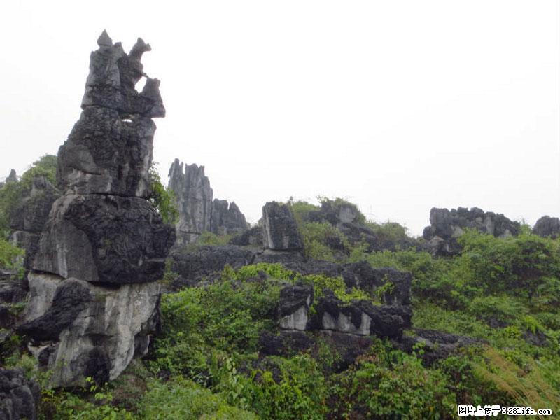 桂林旅游名城景点：灌阳文市石林 - 游山玩水 - 揭阳生活社区 - 揭阳28生活网 jy.28life.net