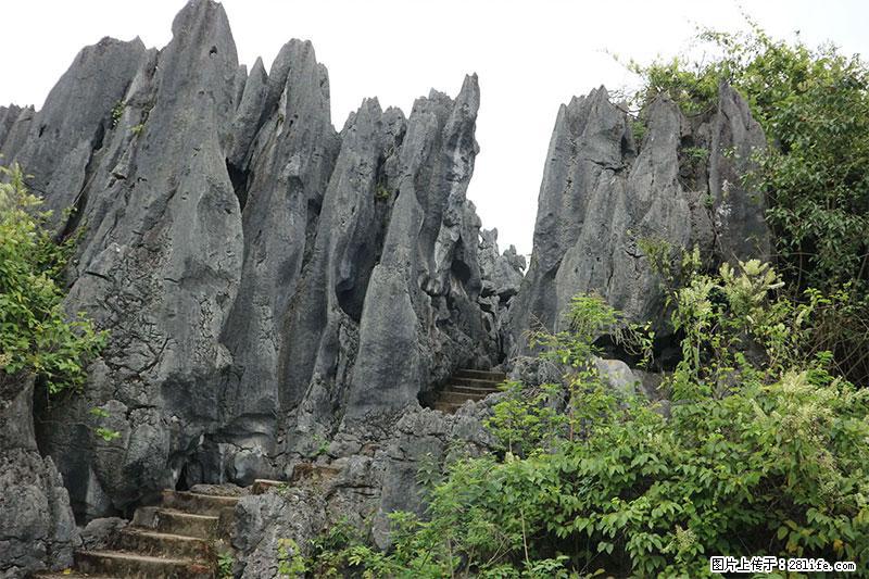 桂林旅游名城景点：灌阳文市石林 - 游山玩水 - 揭阳生活社区 - 揭阳28生活网 jy.28life.net