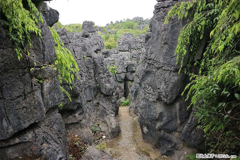 桂林旅游名城景点：灌阳文市石林 - 游山玩水 - 揭阳生活社区 - 揭阳28生活网 jy.28life.net