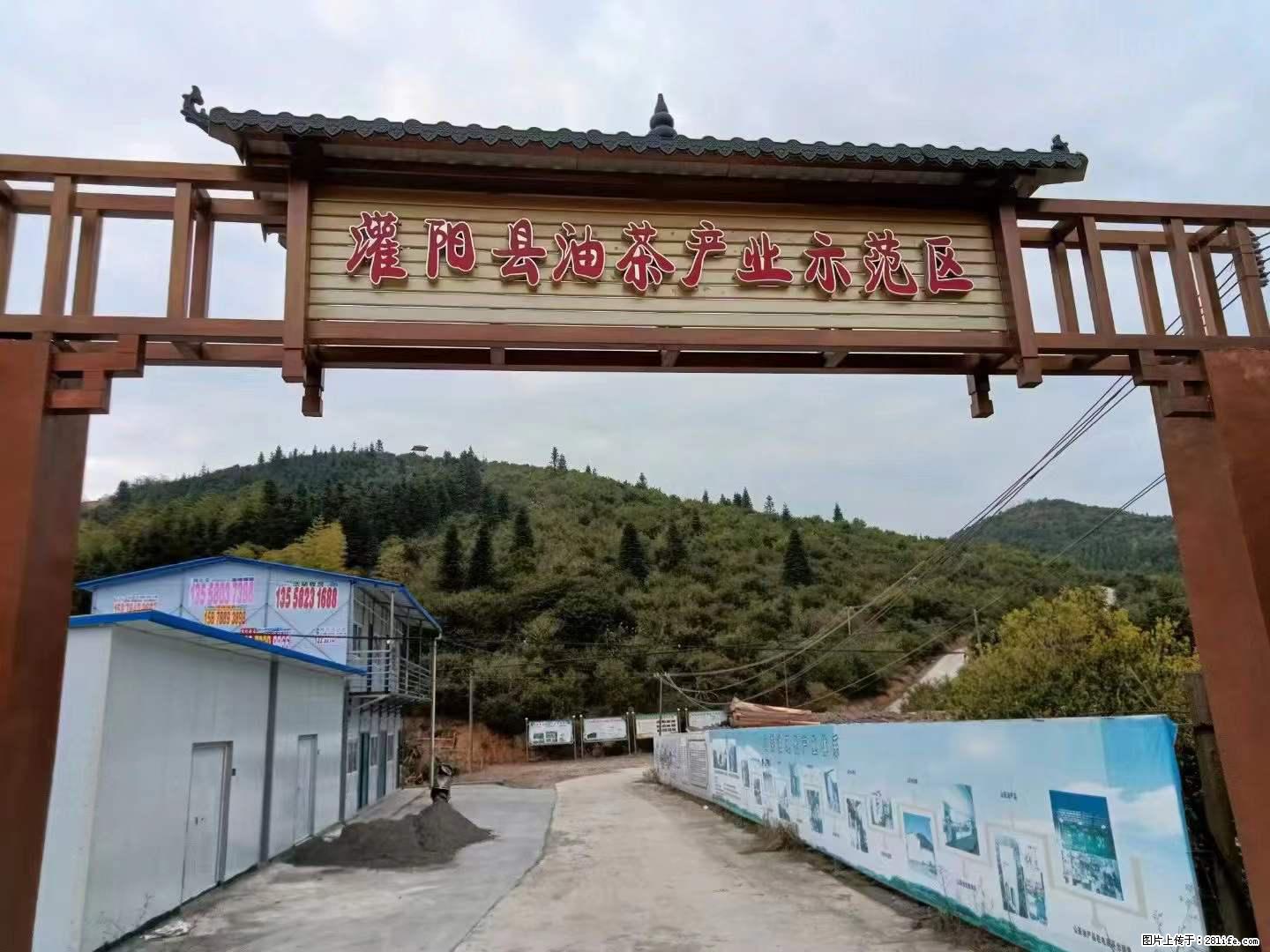 【灌阳县油茶产业示范区】一个有着充实的精神生活的人，对待身外之物自会有一种淡泊的态度 - 美食天地 - 揭阳生活社区 - 揭阳28生活网 jy.28life.net