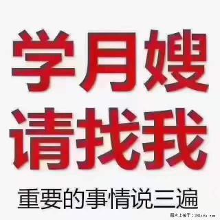 为什么要学习月嫂，育婴师？ - 揭阳28生活网 jy.28life.net