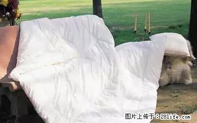 被子有异味？只要这样做，比晒太阳还强100倍！ - 家居生活 - 揭阳生活社区 - 揭阳28生活网 jy.28life.net