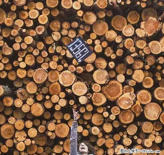 辞掉工作周游世界？现在他们在洗厕所…… - 游山玩水 - 揭阳生活社区 - 揭阳28生活网 jy.28life.net