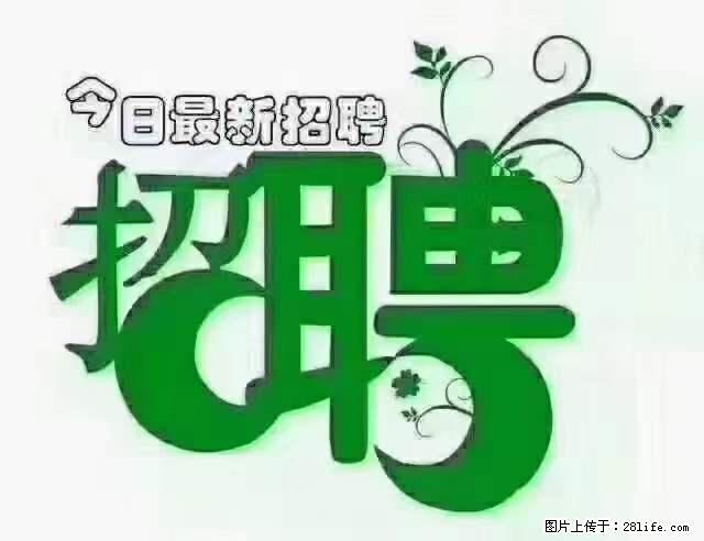 【招聘摄像师】待遇：试用期6000元/月，转正7000元/月+五险一金+餐补+节日福利+奖金 - 职场交流 - 揭阳生活社区 - 揭阳28生活网 jy.28life.net