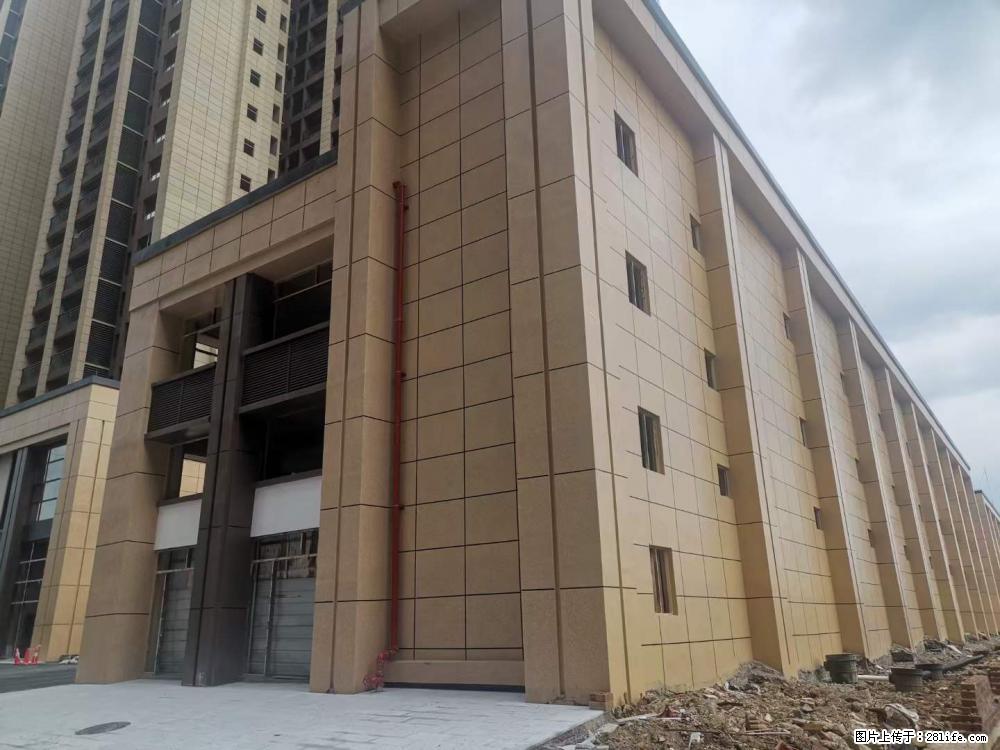 【广西三象建筑安装工程有限公司】外墙涂料工程 - 新手上路 - 揭阳生活社区 - 揭阳28生活网 jy.28life.net
