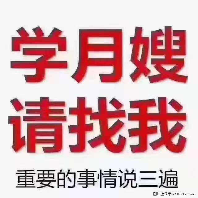【招聘】月嫂，上海徐汇区 - 职场交流 - 揭阳生活社区 - 揭阳28生活网 jy.28life.net