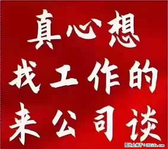 【上海】国企，医院招两名男保安，55岁以下，身高1.7米以上，无犯罪记录不良嗜好 - 职场交流 - 揭阳生活社区 - 揭阳28生活网 jy.28life.net