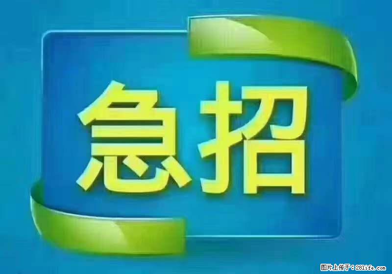 招财务，有会计证的，熟手会计1.1万底薪，上海五险一金，包住，包工作餐，做六休一 - 职场交流 - 揭阳生活社区 - 揭阳28生活网 jy.28life.net