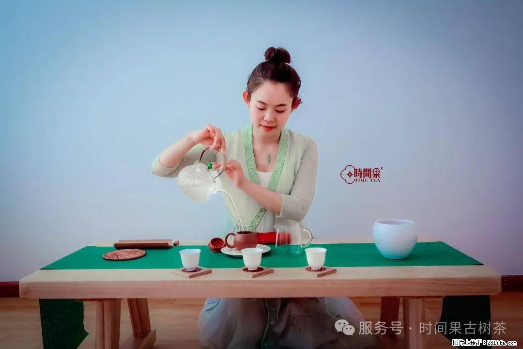 时间果百年古树龙珠普洱生茶 - 购物交流 - 揭阳生活社区 - 揭阳28生活网 jy.28life.net