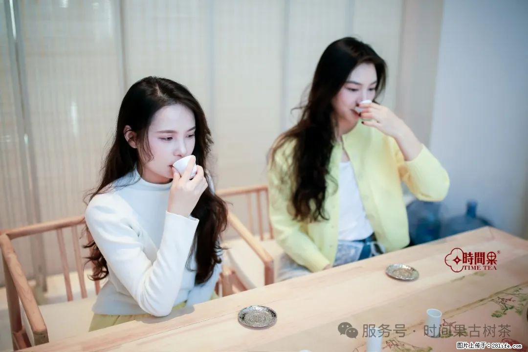 时间果百年古树龙珠普洱生茶 - 购物交流 - 揭阳生活社区 - 揭阳28生活网 jy.28life.net