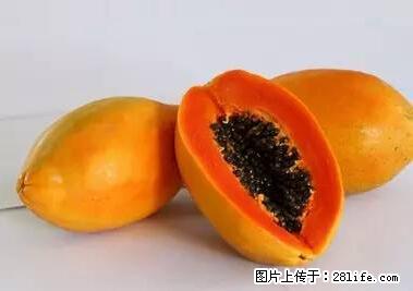 晕车、脚气、牙齿变黄、皮肤粗糙？学会这些三分钟搞定！ - 揭阳生活资讯 - 揭阳28生活网 jy.28life.net