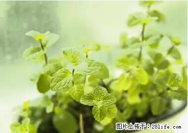 晕车、脚气、牙齿变黄、皮肤粗糙？学会这些三分钟搞定！ - 揭阳生活资讯 - 揭阳28生活网 jy.28life.net