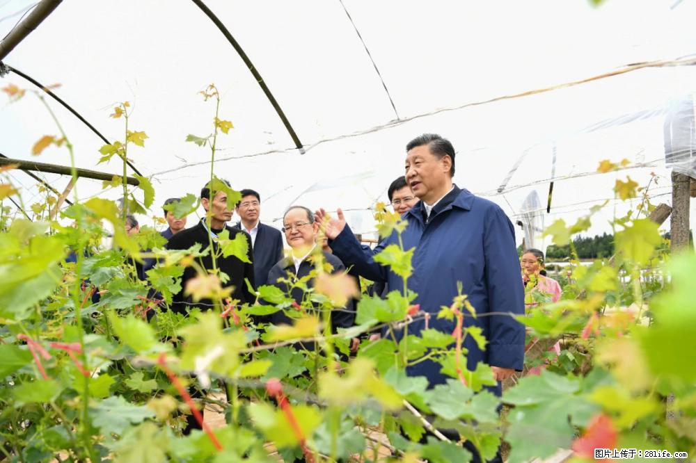习近平赴广西考察调研 - 揭阳生活资讯 - 揭阳28生活网 jy.28life.net