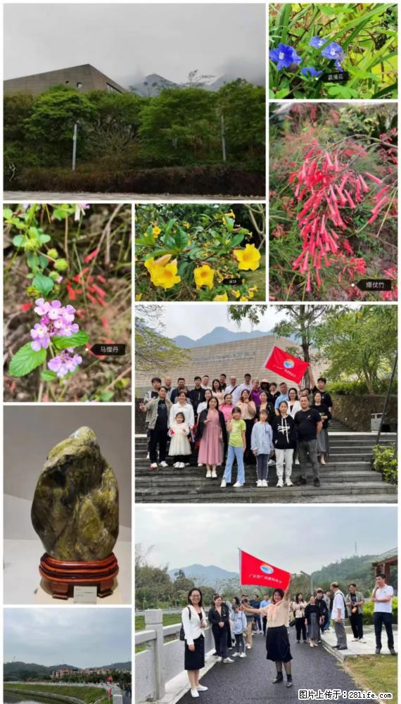 “粤灌文化 美好生活”油茶文化主题活动在广东深圳成功举办 - 揭阳生活资讯 - 揭阳28生活网 jy.28life.net