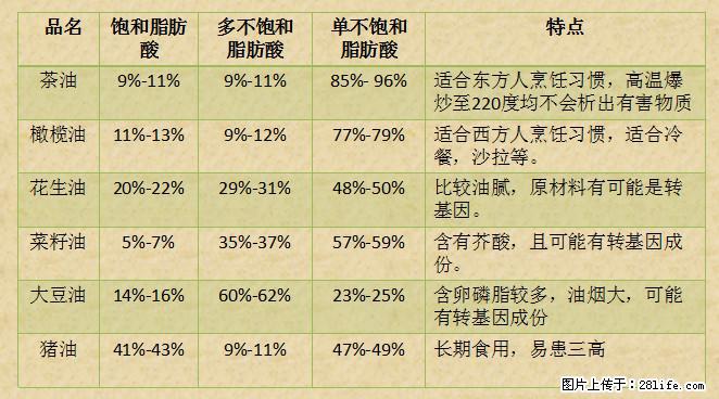 揭秘茶油的5大核心营养成分！被称为人体健康的“守护盾”！ - 揭阳生活资讯 - 揭阳28生活网 jy.28life.net