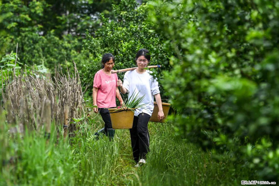 全网追的“扁担女孩”，找了一份暑假工，时薪12元 - 揭阳生活资讯 - 揭阳28生活网 jy.28life.net