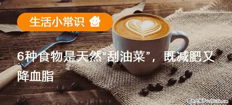 【生活小常识】6种食物是天然“刮油菜”，既减肥又降血脂 - 揭阳生活资讯 - 揭阳28生活网 jy.28life.net