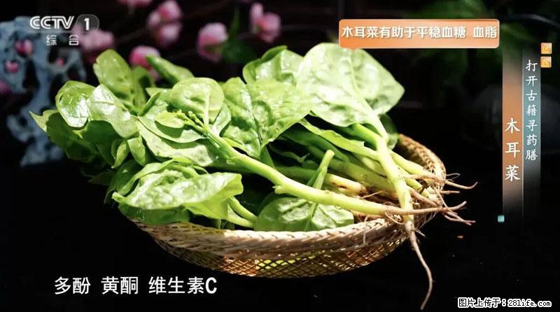 比牛奶补钙还厉害！凉血解毒、稳血糖...这菜冬天必吃，很多人却当草 - 揭阳生活资讯 - 揭阳28生活网 jy.28life.net