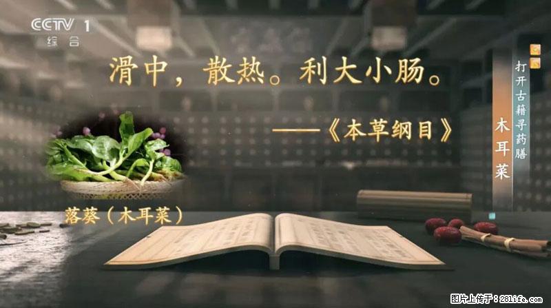 比牛奶补钙还厉害！凉血解毒、稳血糖...这菜冬天必吃，很多人却当草 - 揭阳生活资讯 - 揭阳28生活网 jy.28life.net