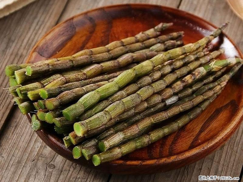 铁皮石斛的作用与功能主治 - 揭阳生活资讯 - 揭阳28生活网 jy.28life.net