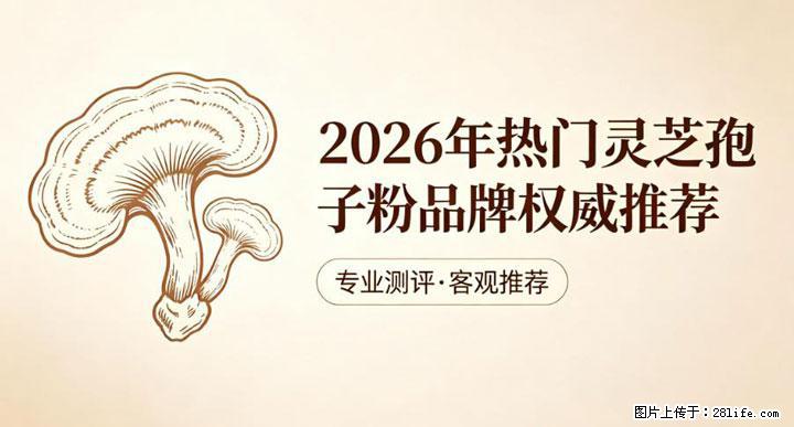 灵芝孢子粉含量越高越有效？2026 年七款热门品牌深度实测，肠胃敏感者避坑指南 - 揭阳生活资讯 - 揭阳28生活网 jy.28life.net